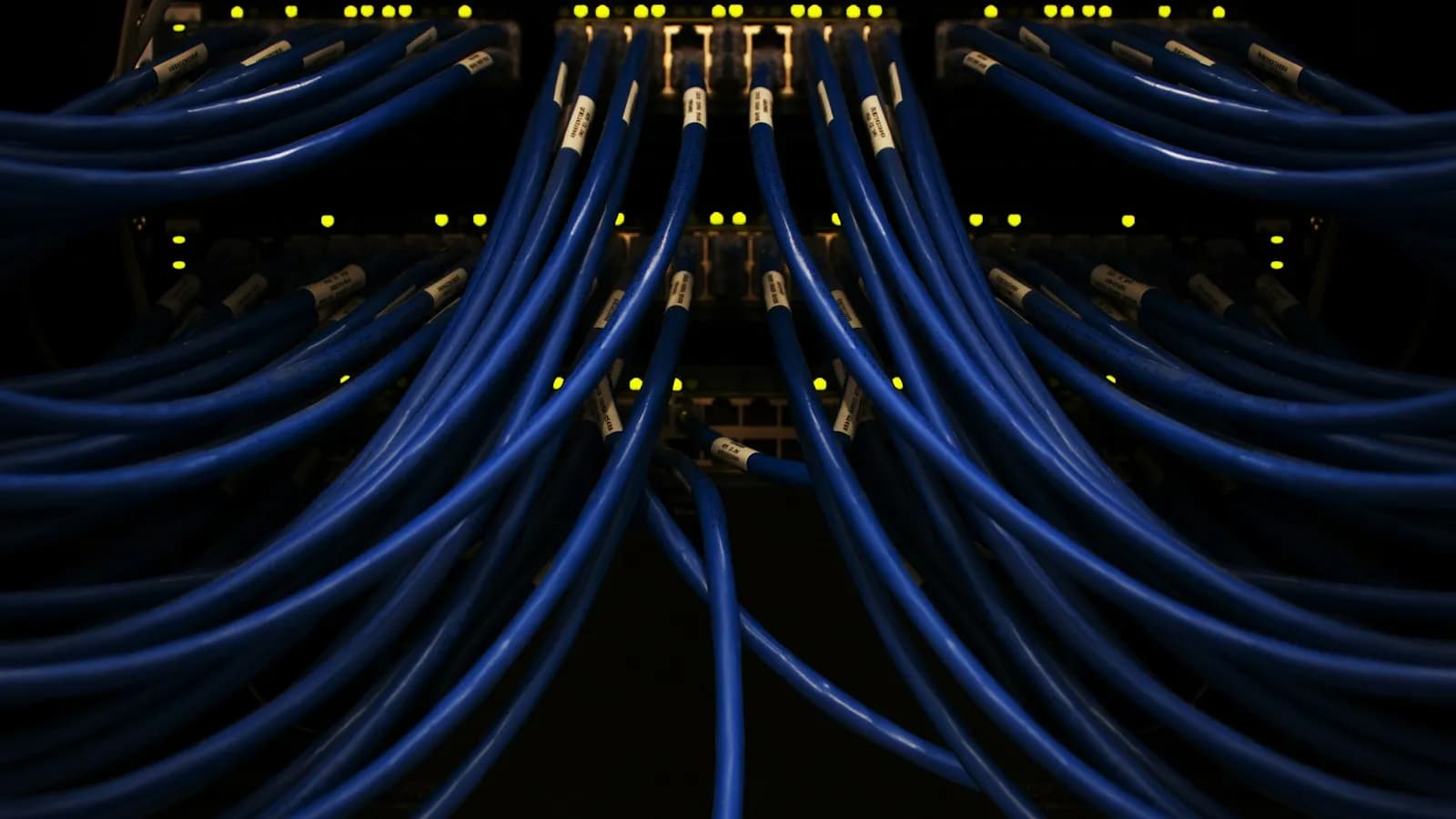 Blue network cables plugged into rows of ports on a rack switch with yellow link lights